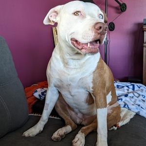 Meet your Posher, Christoper